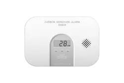 Siterwell CO Alarm GS828M